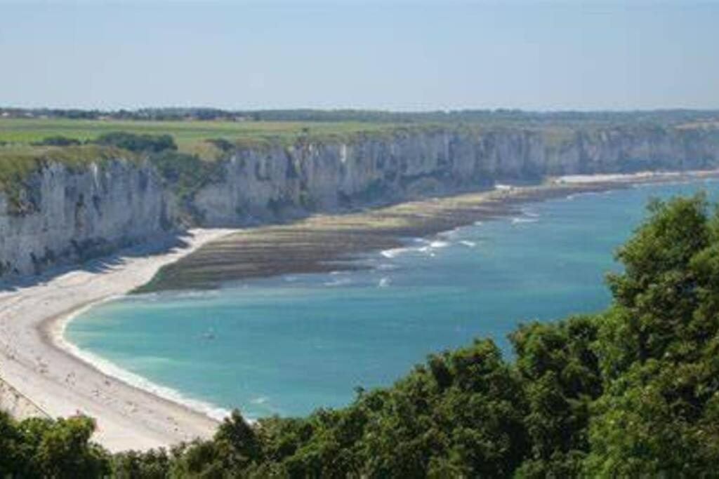 Le Domaine : Maison Proche De La Plage Et Du Port Fecamp Bagian luar foto